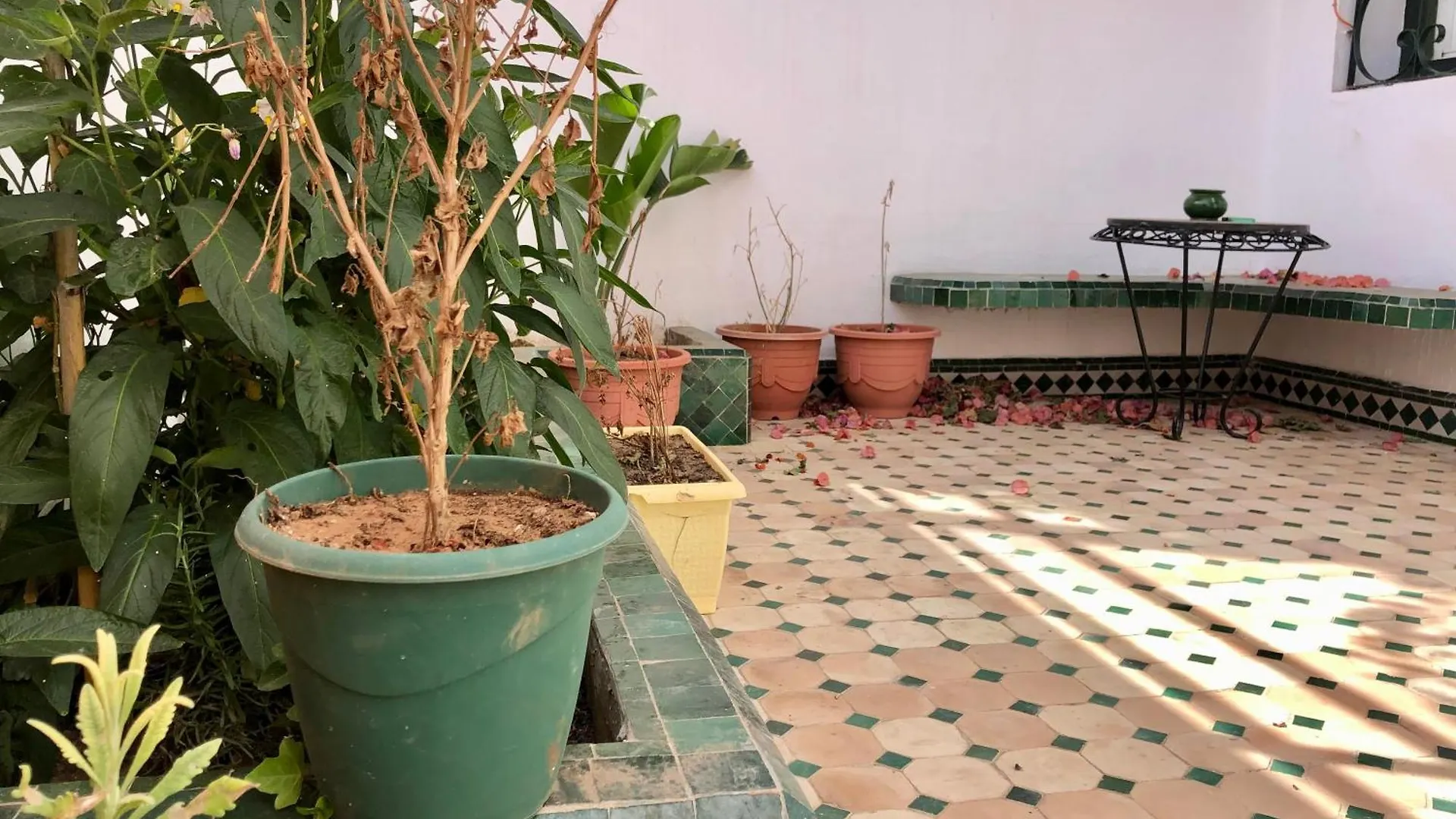 Luxury Villa Riad Style - Wifi & Parking Agadir
